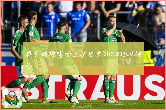 奥多姆野球场上演经典Shammgod神作