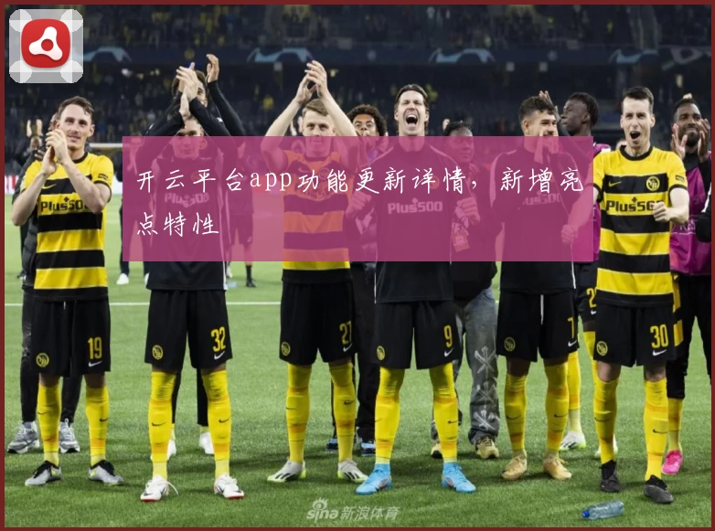 开云平台app功能更新详情，新增亮点特性