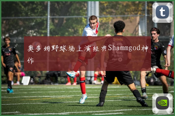 奥多姆野球场上演经典Shammgod神作